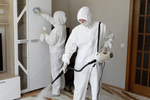 Best Mold Removal and Inspection  in Columbus, WI