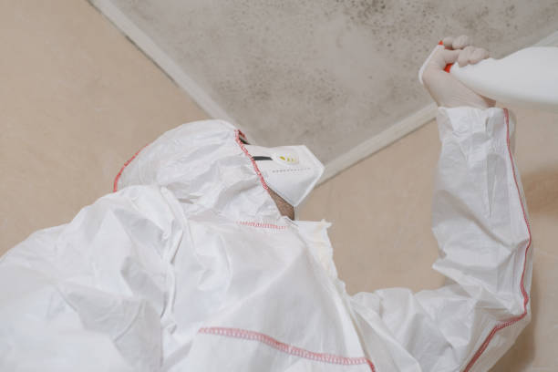 Best Emergency Mold Removal  in Columbus, WI